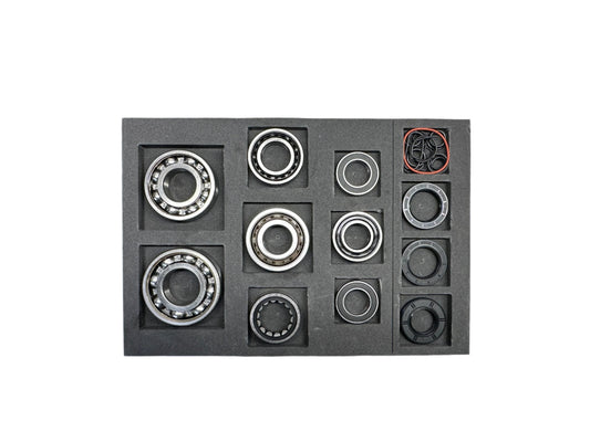 LDU Rebuild Kit (BACK ORDER)